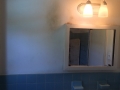 Roxborough Bathroom Remodeling - Before 5